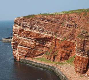 Steilküste und Lummenfelsen