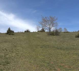 Rundweg am Beutenlay