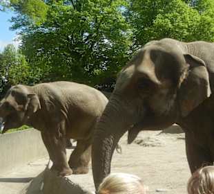 Tierpark Hagenbeck