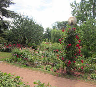 Rosengarten Zweibrücken