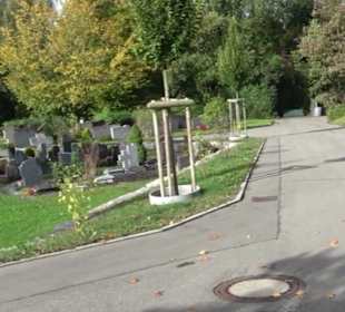 Stadtrundgang Tettnang