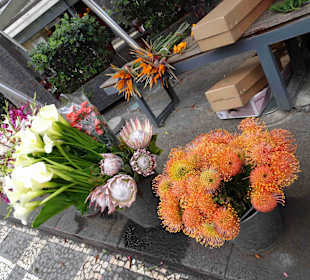 Inselrundfahrt Madeira