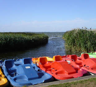 Boothafen für Tretboote am Achterwasser
