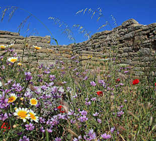 Ruiny na wyspie Delos