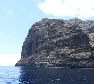 Los Gigantes 