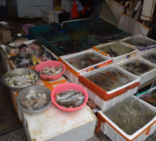 Fischerdorf Tai O