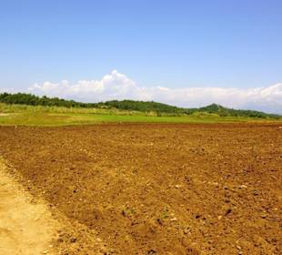 Seht euch diese Natur an...