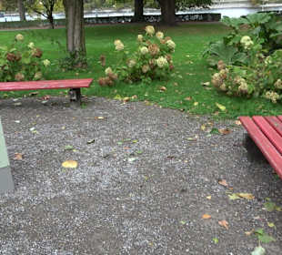 Lindauer Stadtgarten