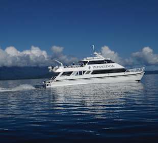 One of the ships cruising around