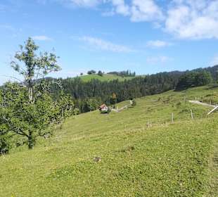 Imbergbahn & Skiarena Steibis