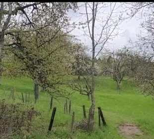 Wanderstrecke Mössinger Streuobstwegle