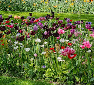 Botanischer Garten Hortus Bulborum