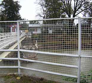 Ostritz,beschädigter Fußgängergrenzübergang