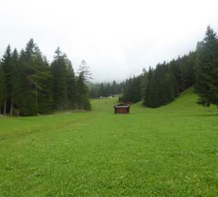 Eichhörnchenweg St.Magdalena - Kradorfer Alm