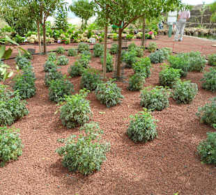 Die Pyramiden von Güimar