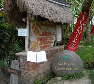 Ubud/ Sari Organic