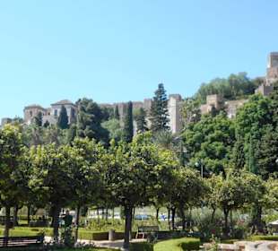 Jardines de Pedro Luis Alonso