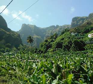 Cova-Ribeira da Torre-Paul Natural Park