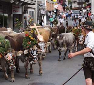 Immer schön in der Reihe bleiben