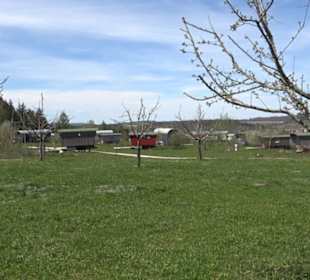 Streuobstwiesen der Hopfenburg