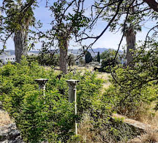 Ausgrabungsgelände Kos