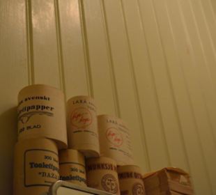 Freilichtmuseum Skansen