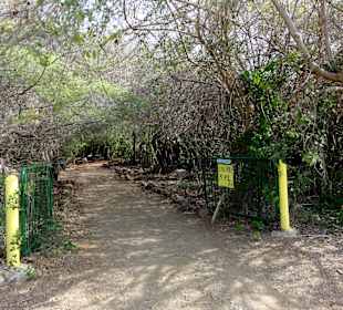 Eingang zum Hòfi Pastor Park