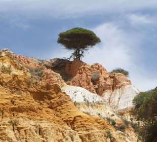 Strand Olhos de Água