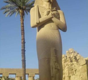 Sharm el Sheikh nach Luxor Ausflug - Sharm Reisen - Sharm el