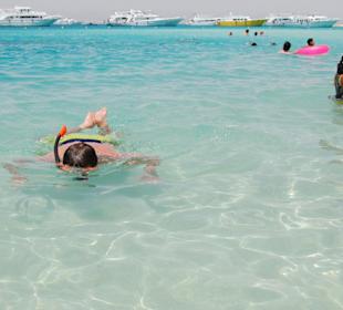 Wyspa Giftun - snurkowanie