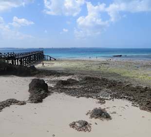Blick auf den Strand bei Ebbe