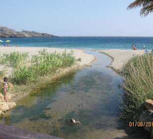 Bach neben dem Strand