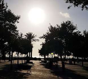 Strandpromenade Playa/Platja de Palma