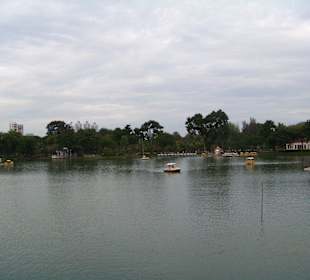 Park
