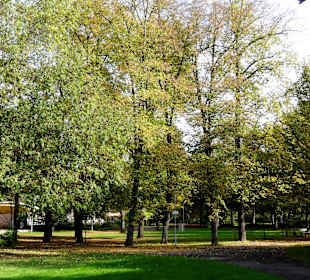 Impressionen aus dem herbstlichen Schlosspark