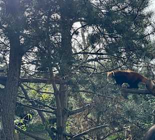 Zoo Leipzig