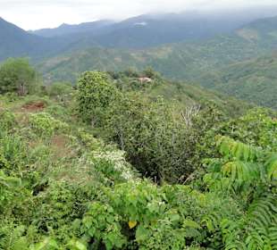 Wildlife Expeditions