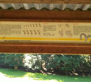 Hinweistafel auf dem Aussichtsturm