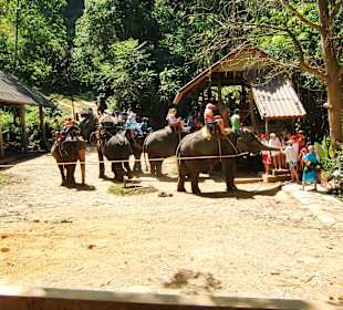 Safari Khao Lak