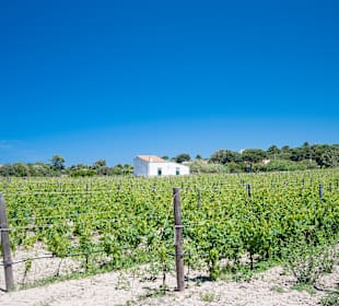 Wandern Carloforte [San Pietro]