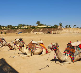 Strände Marsa Alam
