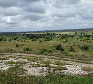 Sarova Salt Lick Game Lodge