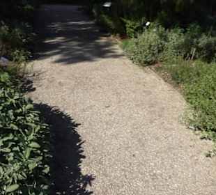 Botanischer Garten München