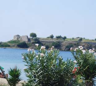 Bei Toroni