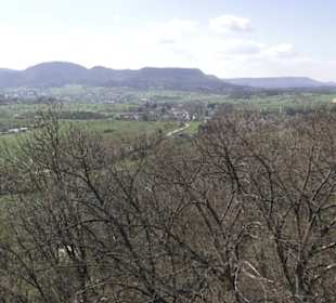 Käpfle Bronnweiler