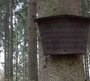 Vitus Mayer Waldlehrpfad