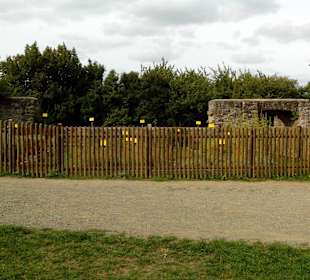 Burgruine Lichtenberg Thallichtenberg