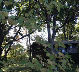 Botanischer Garten