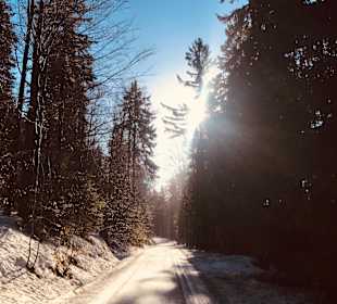 Wandern Mitterfirmiansreut