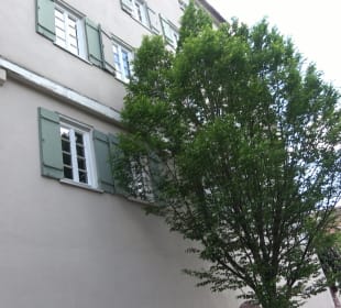 Evangelisches Pfarramt Altensteig